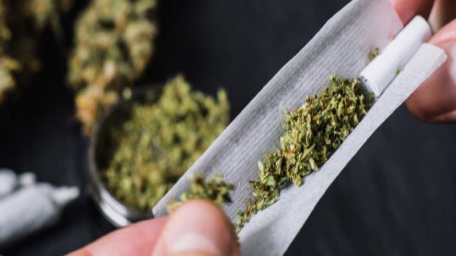 Weed or hemp in Rio de Janeiro, Brazil