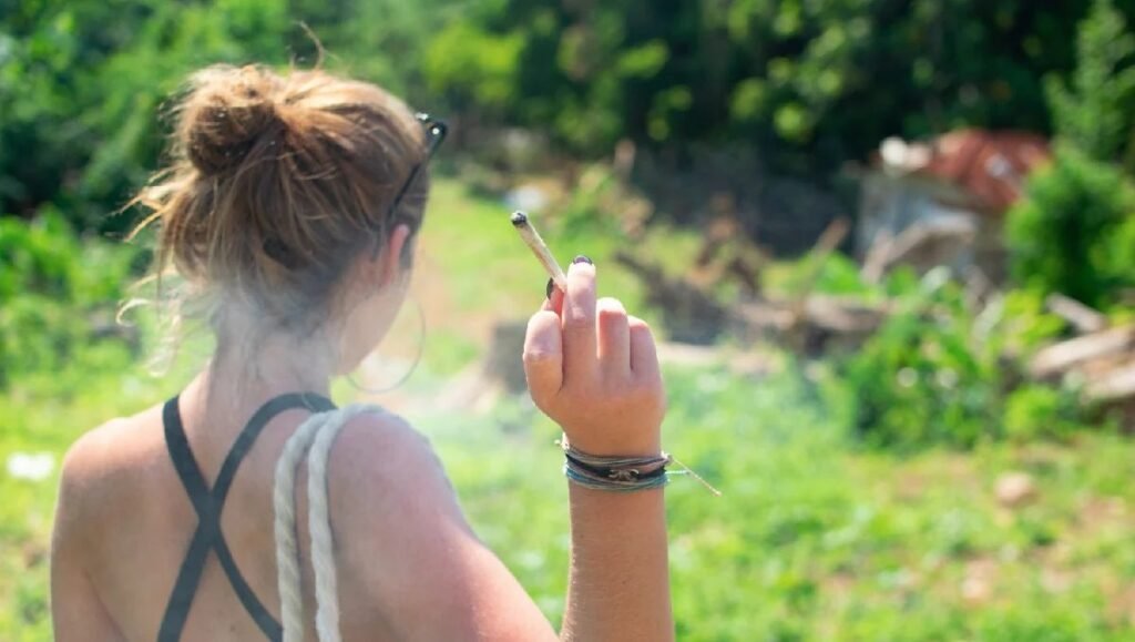 Weed, hemp or pot in Strasbourg, France