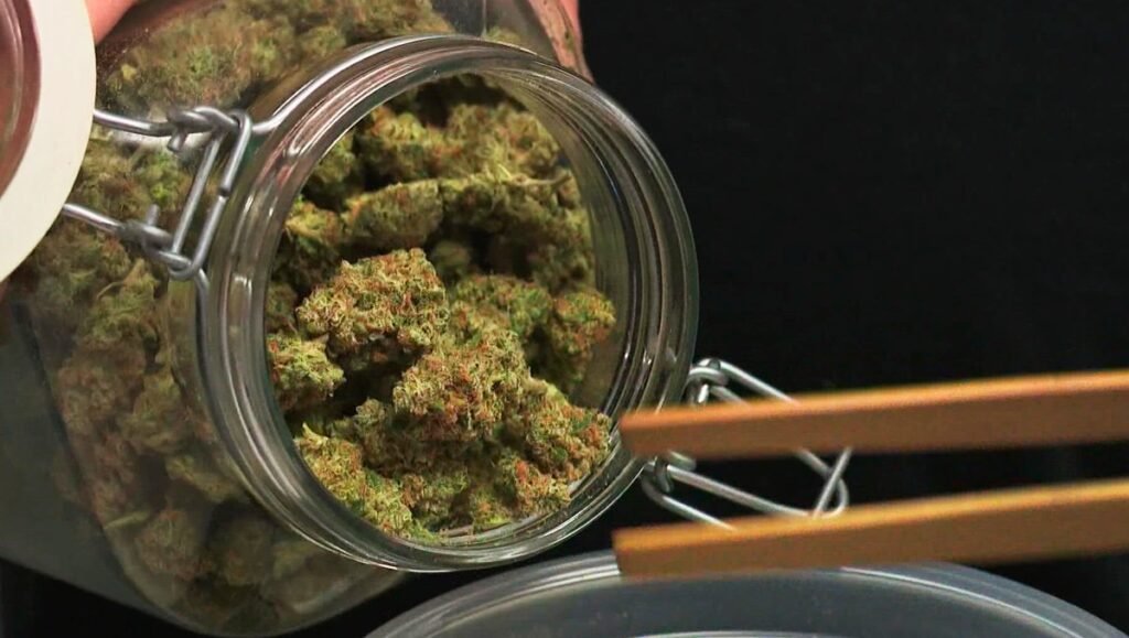 Weed in Linz, Austria