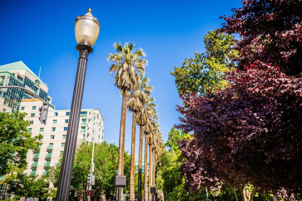 Cannabis in Sacramento, California