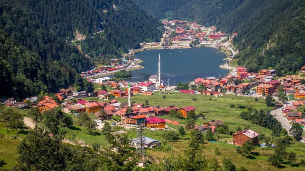 Weed in Trabzon