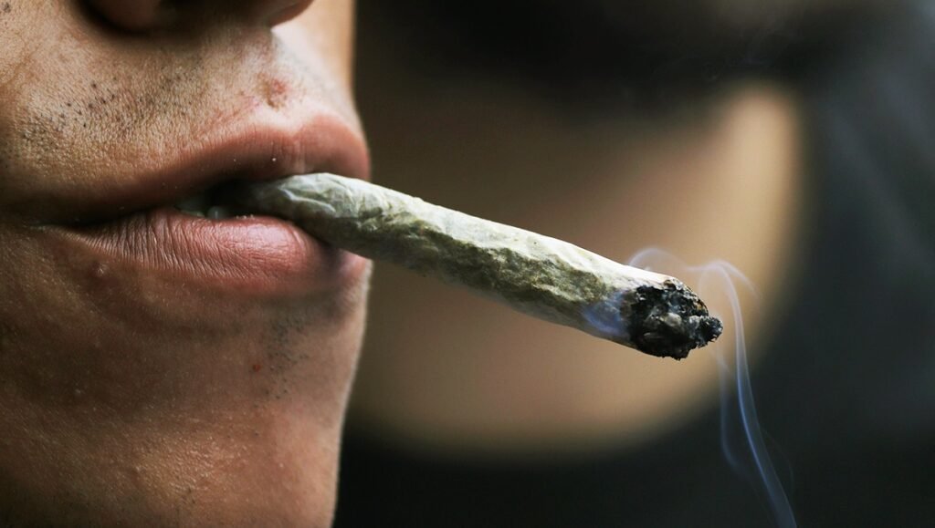 Weed, Cannabis or Marijuana in Rimini, Italy
