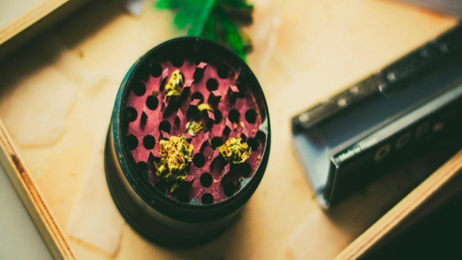 Weed, Cannabis or Marijuana in Venice, Italy