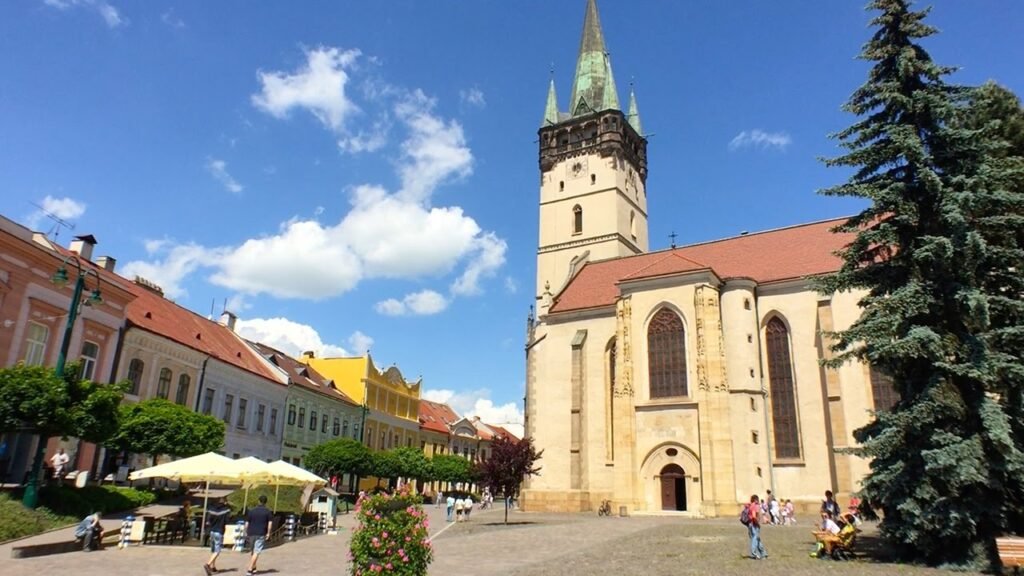 Weed in Presov