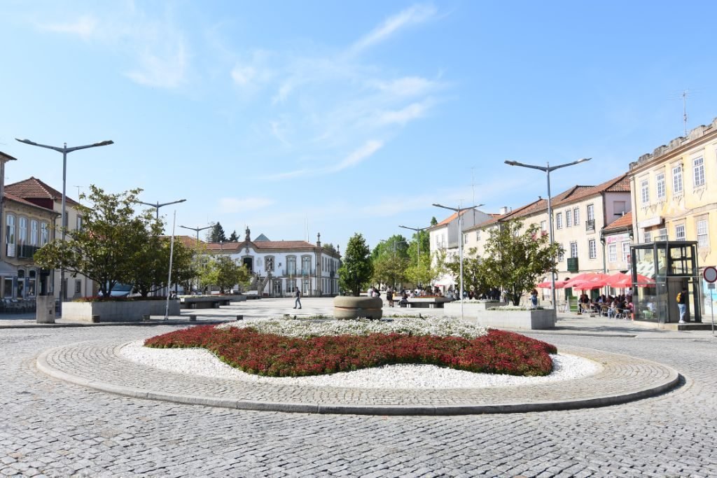 Weed in Vila Real