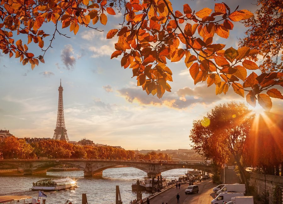 Marijuana in France