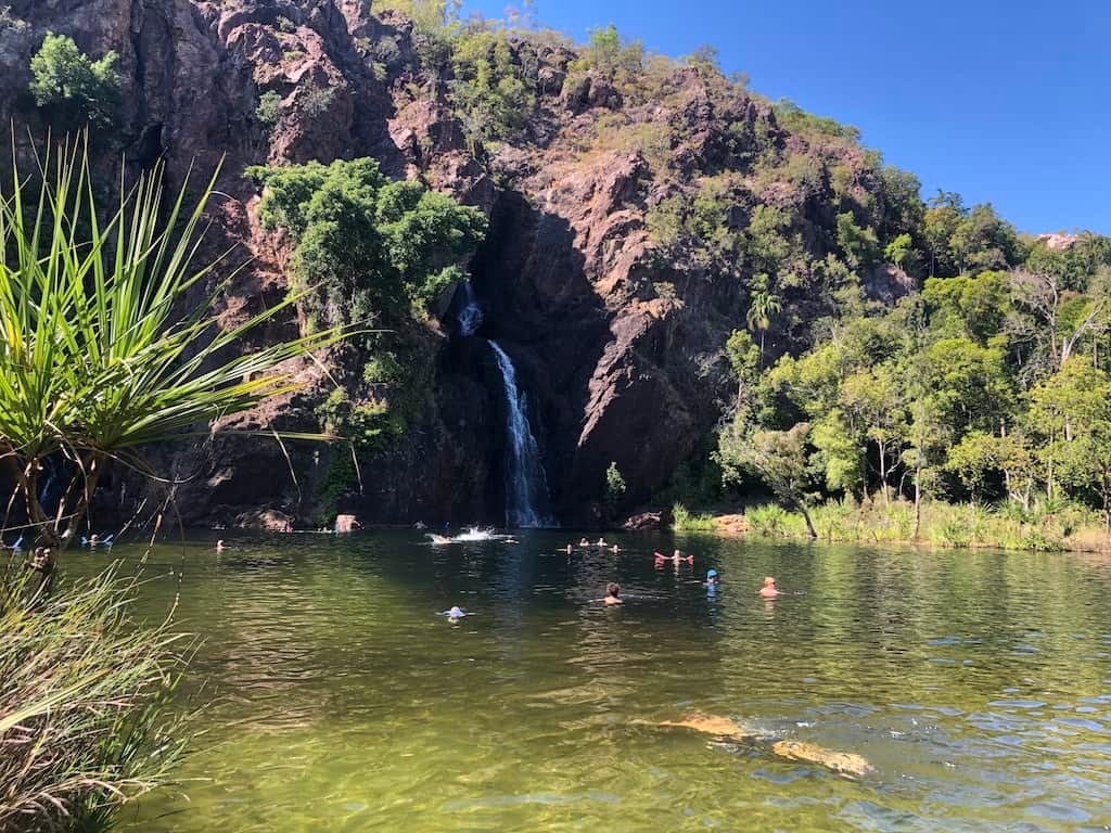 Weed in Northern Territory