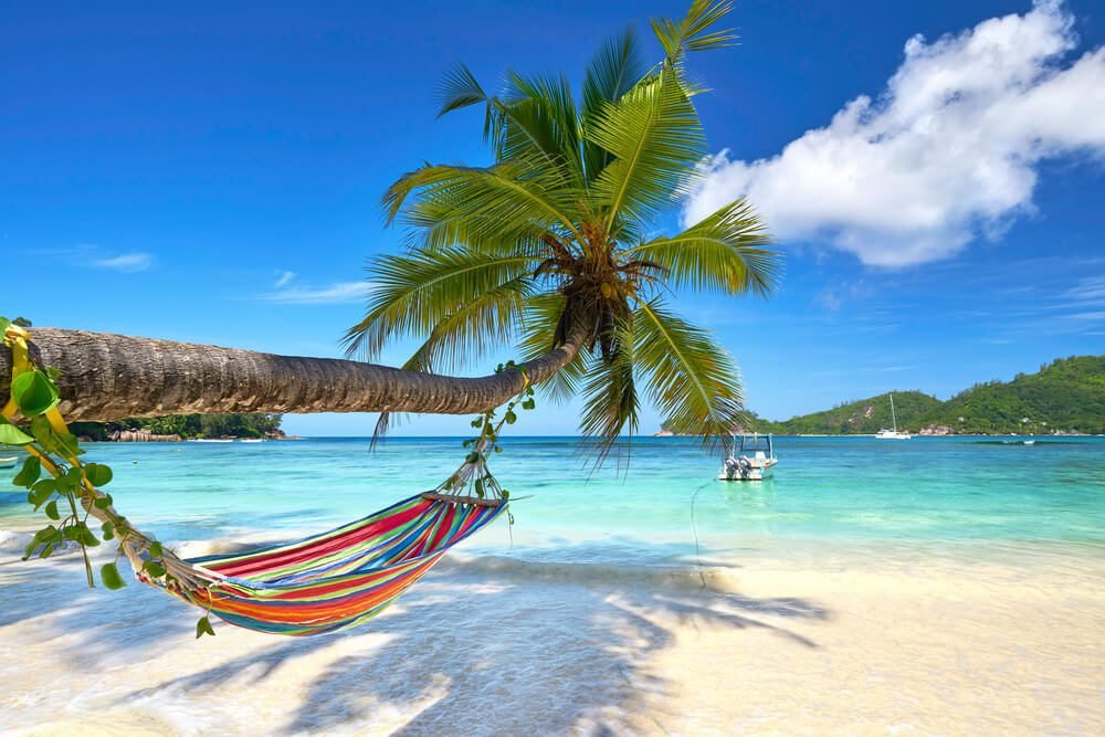 Weed in Paradise Island