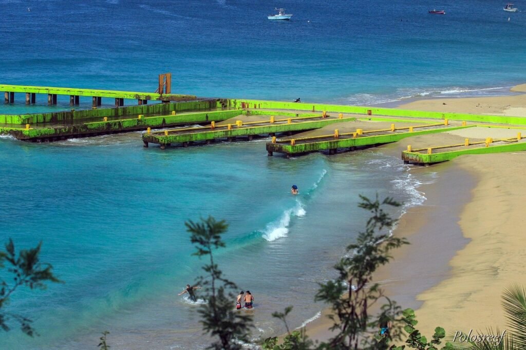 Weed in Aguadilla, Puerto Rico