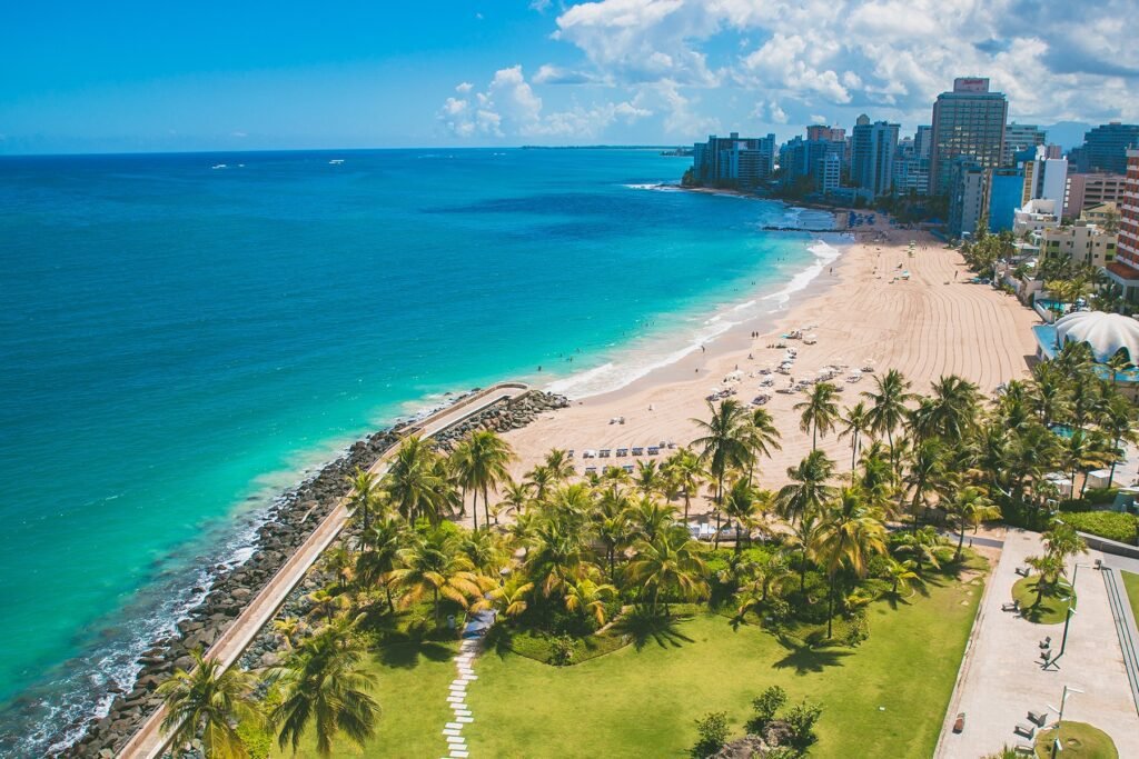 Weed in Condado, Puerto Rico