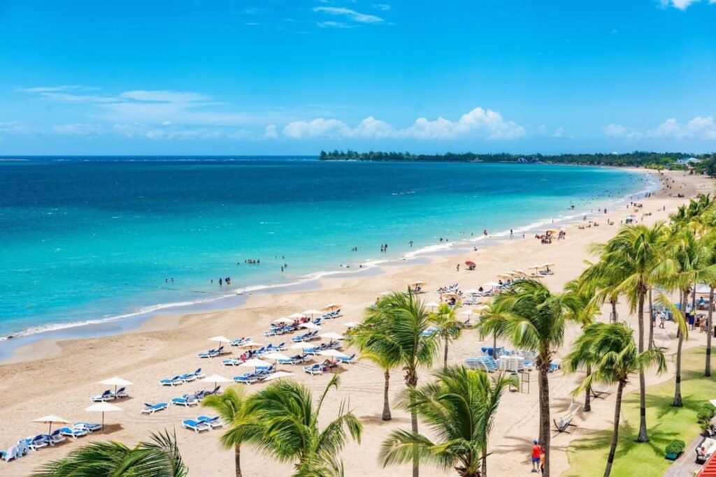Weed in Isla Verde, Puerto Rico