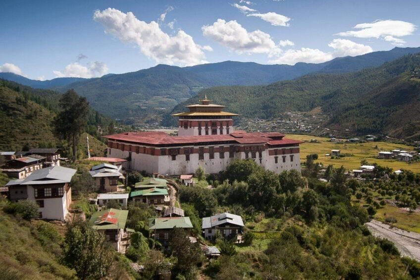 Weed in Paro, Bhutan