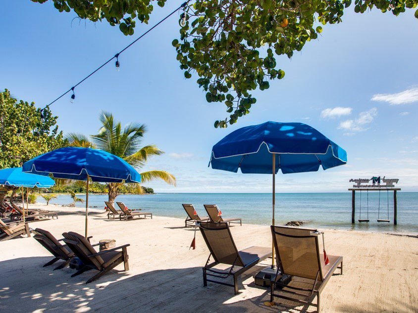 Weed in Placencia