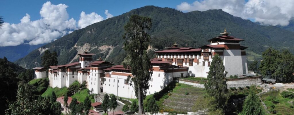 Weed in Trongsa Bhutan